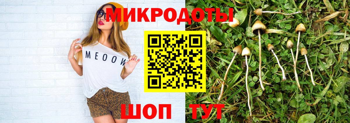 Галлюциногенные грибы прущие грибы Елец