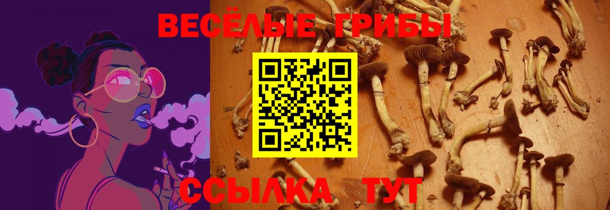 Елец  Псилоцибиновые грибы прущие грибы  Вход с VPN 